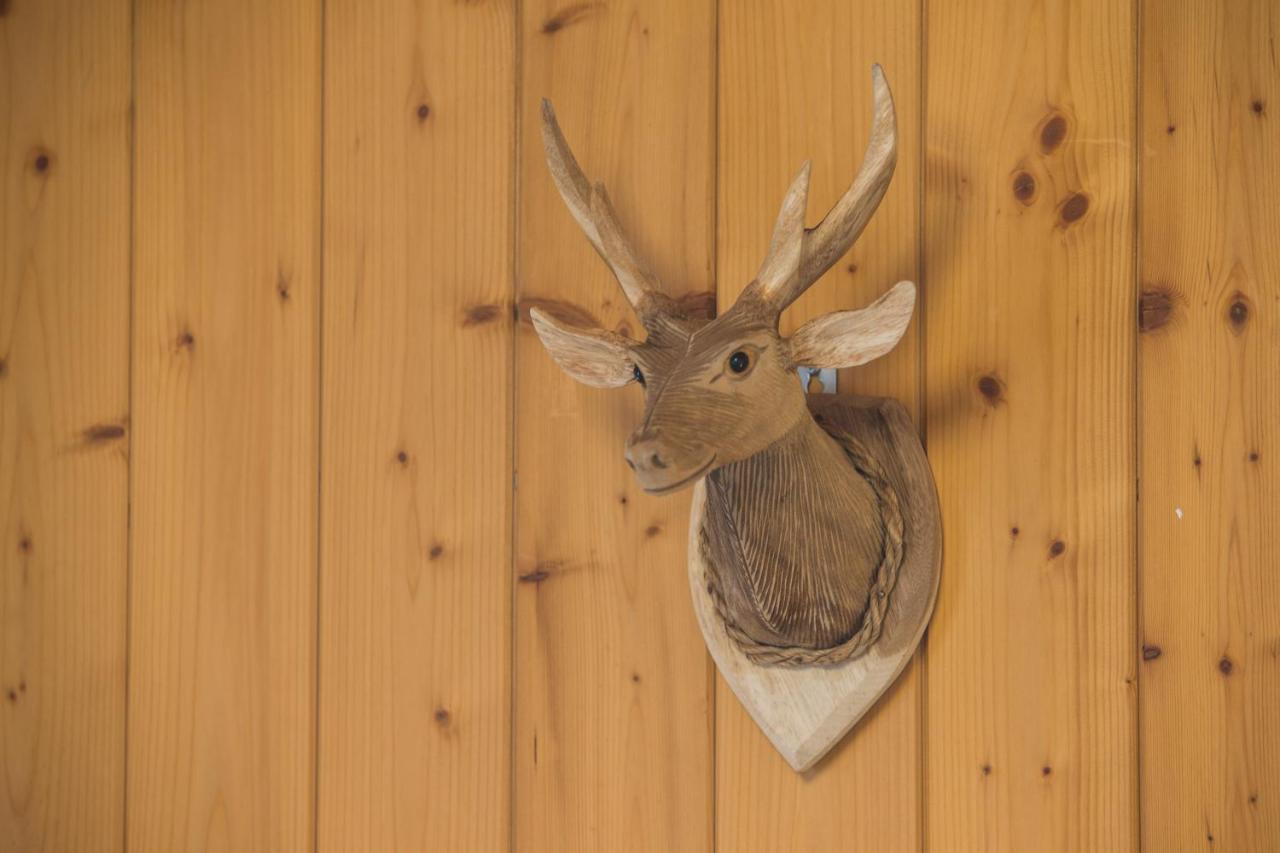 Chalet Sunneblick Grindelwald Eksteriør bilde