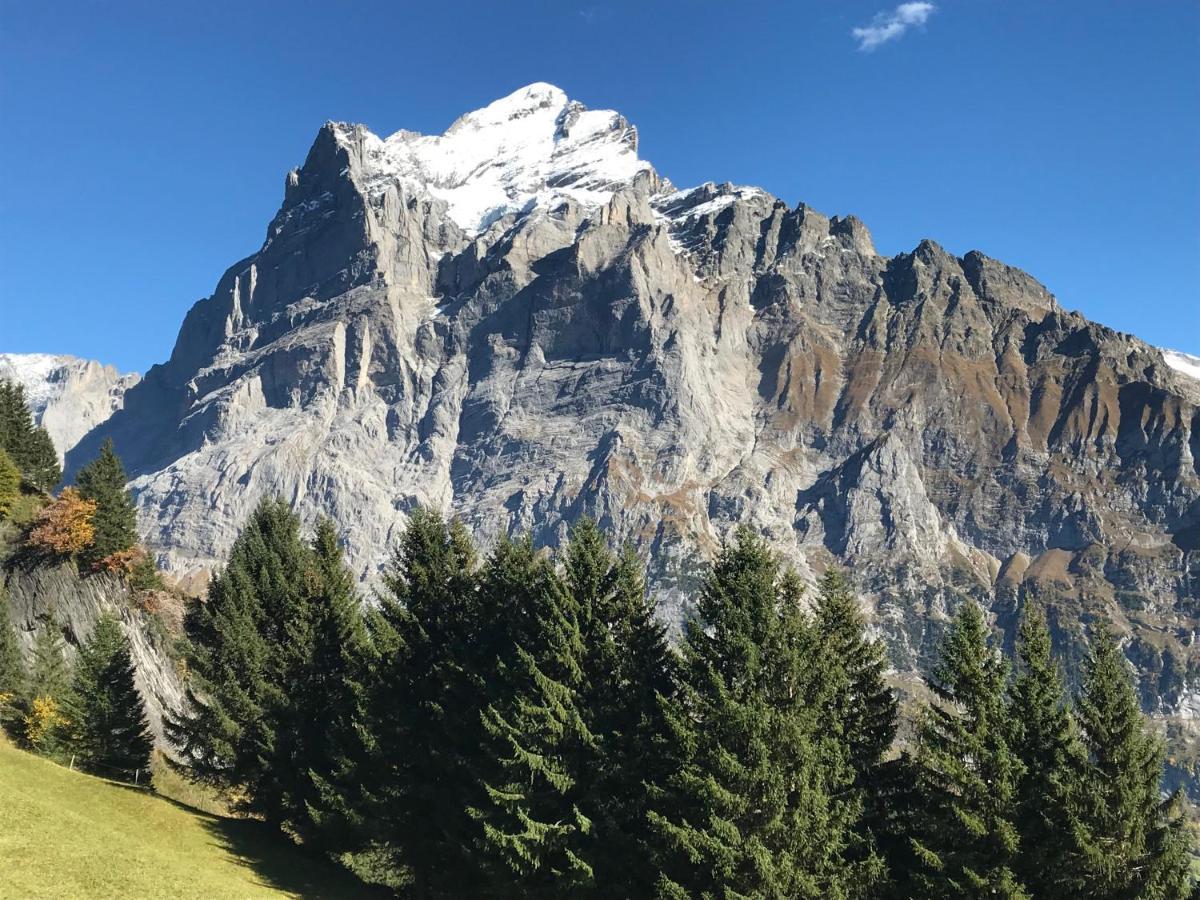 Chalet Sunneblick Grindelwald Eksteriør bilde