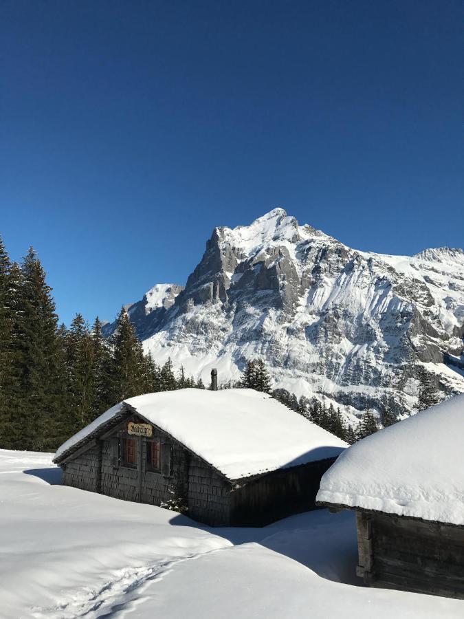 Chalet Sunneblick Grindelwald Eksteriør bilde