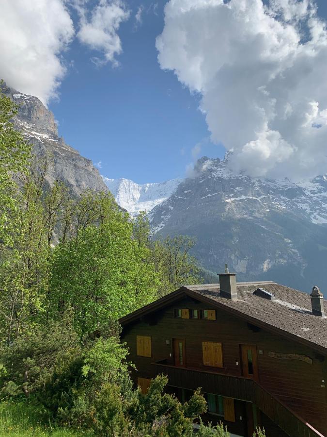 Chalet Sunneblick Grindelwald Eksteriør bilde